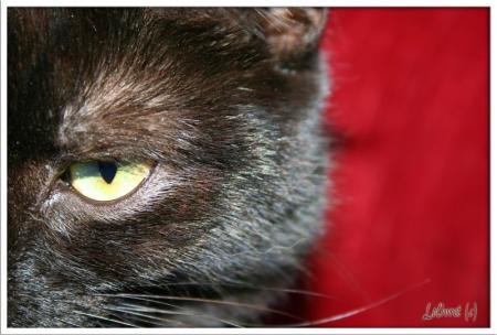 brucelee maroc imisil  brucelee_maroc@bm.com           ������ �����  �����  ��� ����  ��  ������  ���  ���  ����� �������  ���  ���  �����  ���� ��  �� ��� ��� ���  �����  ����  ��� ���  �����  �� ���